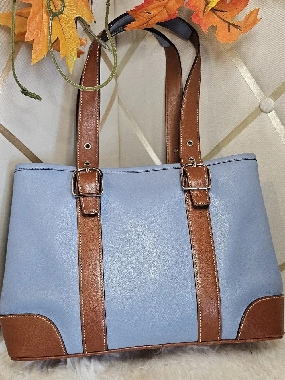 Coach Hampton Leather Tote Bag ( Model 7588)